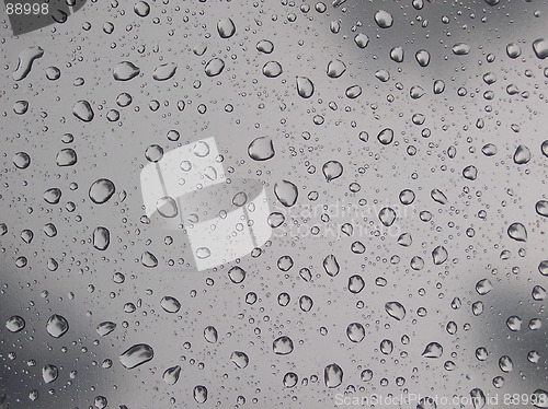 Image of rain drops