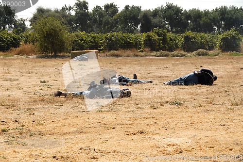 Image of Casualties
