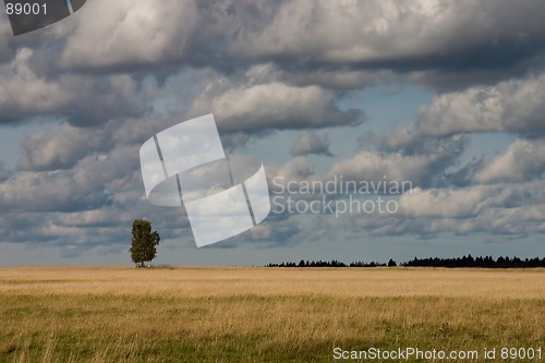 Image of Autumn