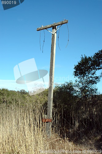 Image of Utility pole