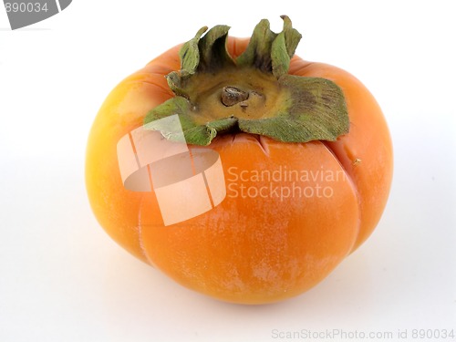 Image of Persimmon