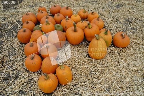 Image of Pumpkins