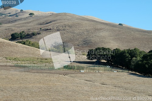 Image of Mission Peak trail