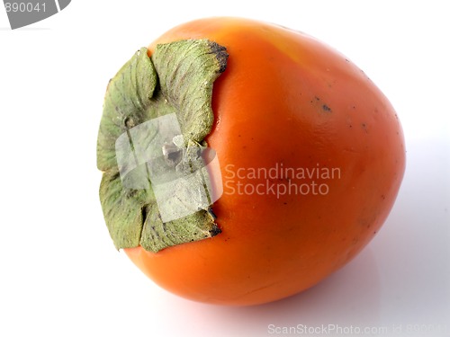 Image of Persimmon