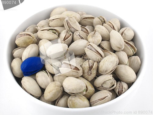 Image of Blue pistachio