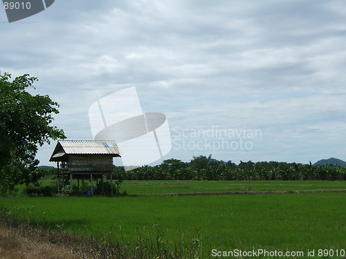 Image of Asian Lanscape