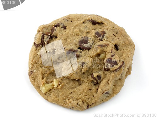 Image of Cookie