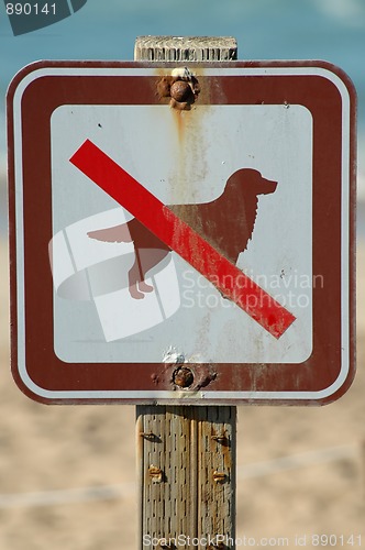 Image of No Dogs Allowed