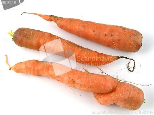 Image of Carrots