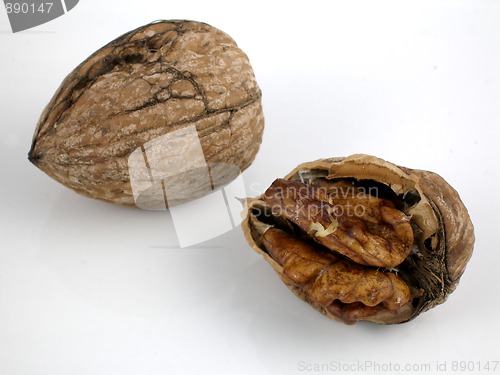 Image of Walnuts