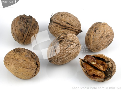 Image of Walnuts
