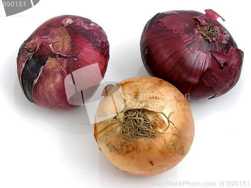 Image of Onion
