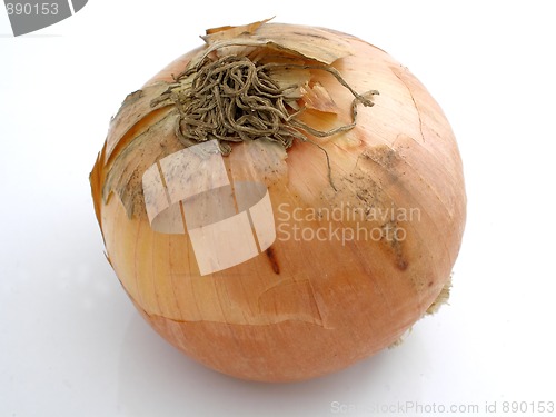Image of Onion