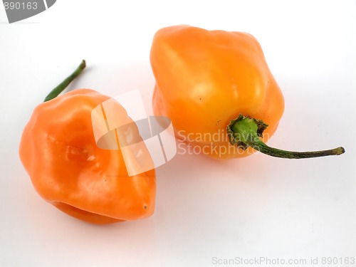 Image of Habanero peppers