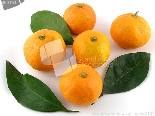 Image of Satsumas