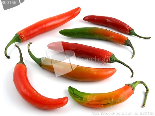 Image of Serrano peppers