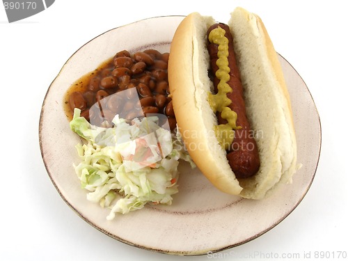 Image of Hot dog
