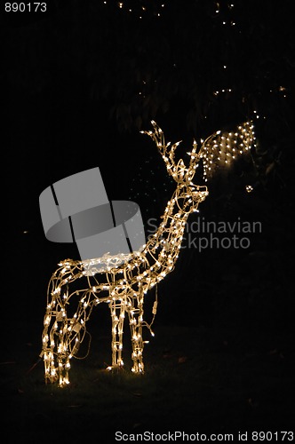 Image of Christmas lights