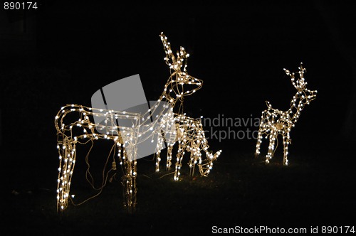 Image of Christmas lights