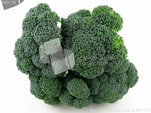 Image of Broccoli