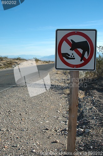 Image of Don't Feed The Coyotes