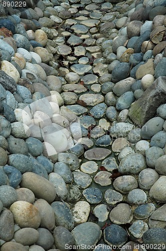Image of Rock streambed