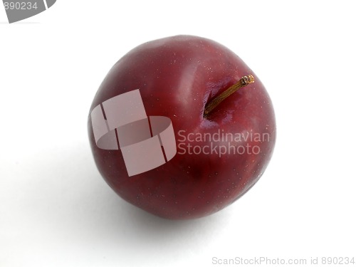 Image of Plum