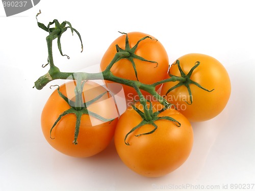 Image of Orange tomatoes