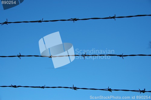 Image of Barbed wire