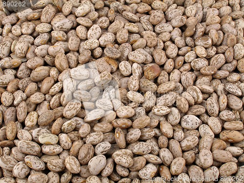Image of Pinto beans