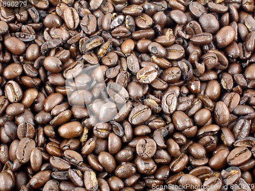 Image of Coffee beans