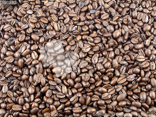 Image of Coffee beans
