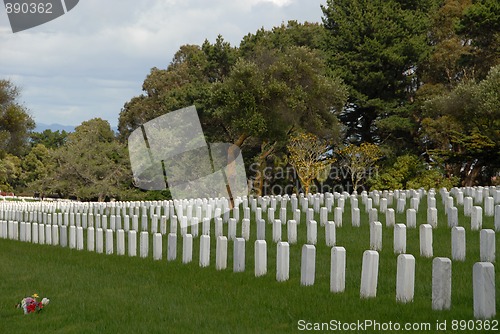 Image of Military cemetery