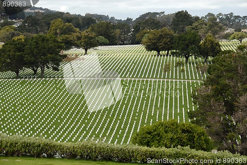 Image of Military cemetery