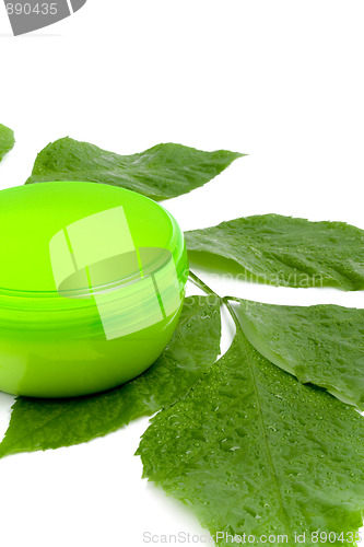 Image of face cream with green leaf