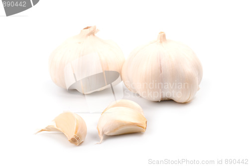 Image of two garlics