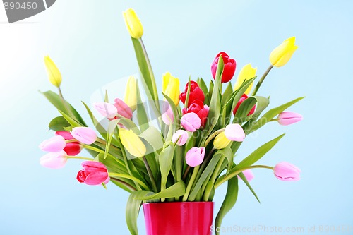 Image of bunch of tulips