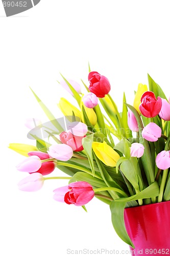 Image of bunch of tulips