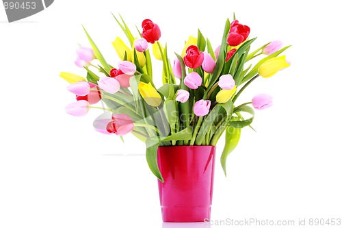 Image of bunch of tulips