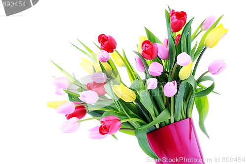 Image of bunch of tulips