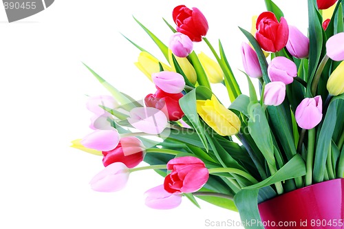 Image of bunch of tulips