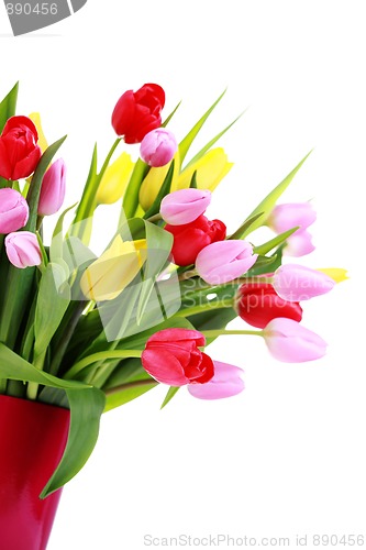 Image of bunch of tulips