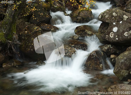 Image of Scottish Water