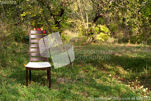 Image of Chair in the garden