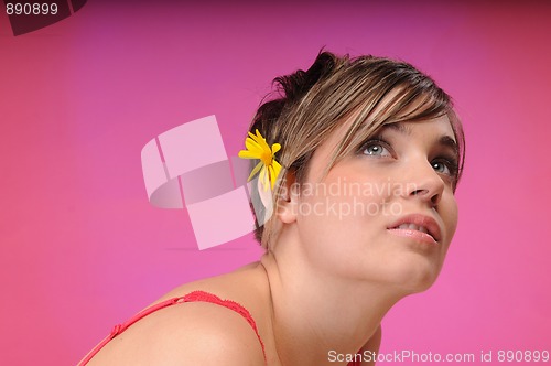Image of Brown hair
