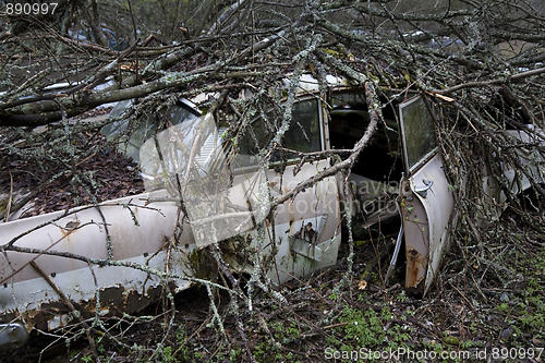 Image of Overgrown scrap in wood