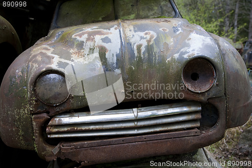 Image of Rusty scrap in nature