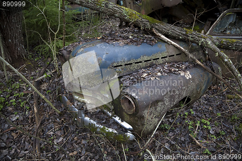 Image of Abandoned car in wood