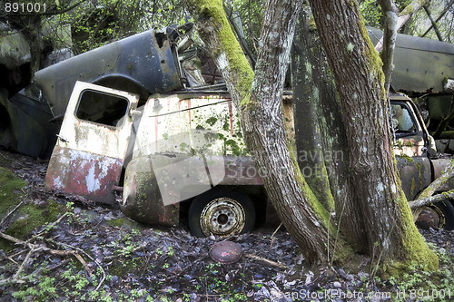 Image of Van scrap in nature