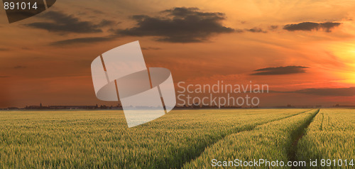 Image of Rural sunset